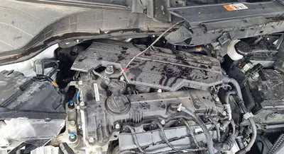 2021 Hyundai Kona KMHK381BEMU769832 VIN:KMHK381BEMU769832