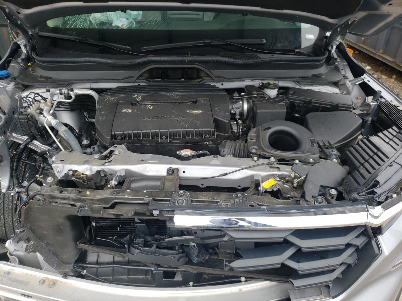 2023 HONDA PILOT EXL VIN:5FNYG2H55PB006396