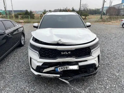 2022 Kia Sorento KNARH81FGPA185808 VIN:KNARH81FGPA185808