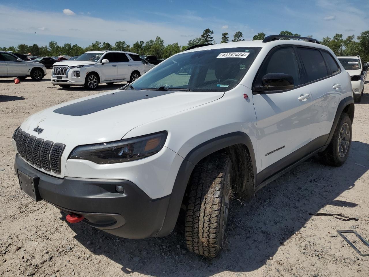 2022 JEEP CHEROKEE TRAILHAWK VIN:1C4PJMBX3ND505351