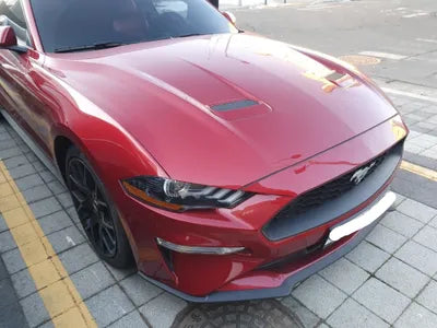 2019 Ford Mustang 1FATP8UH3K5196891 VIN:1FATP8UH3K5196891