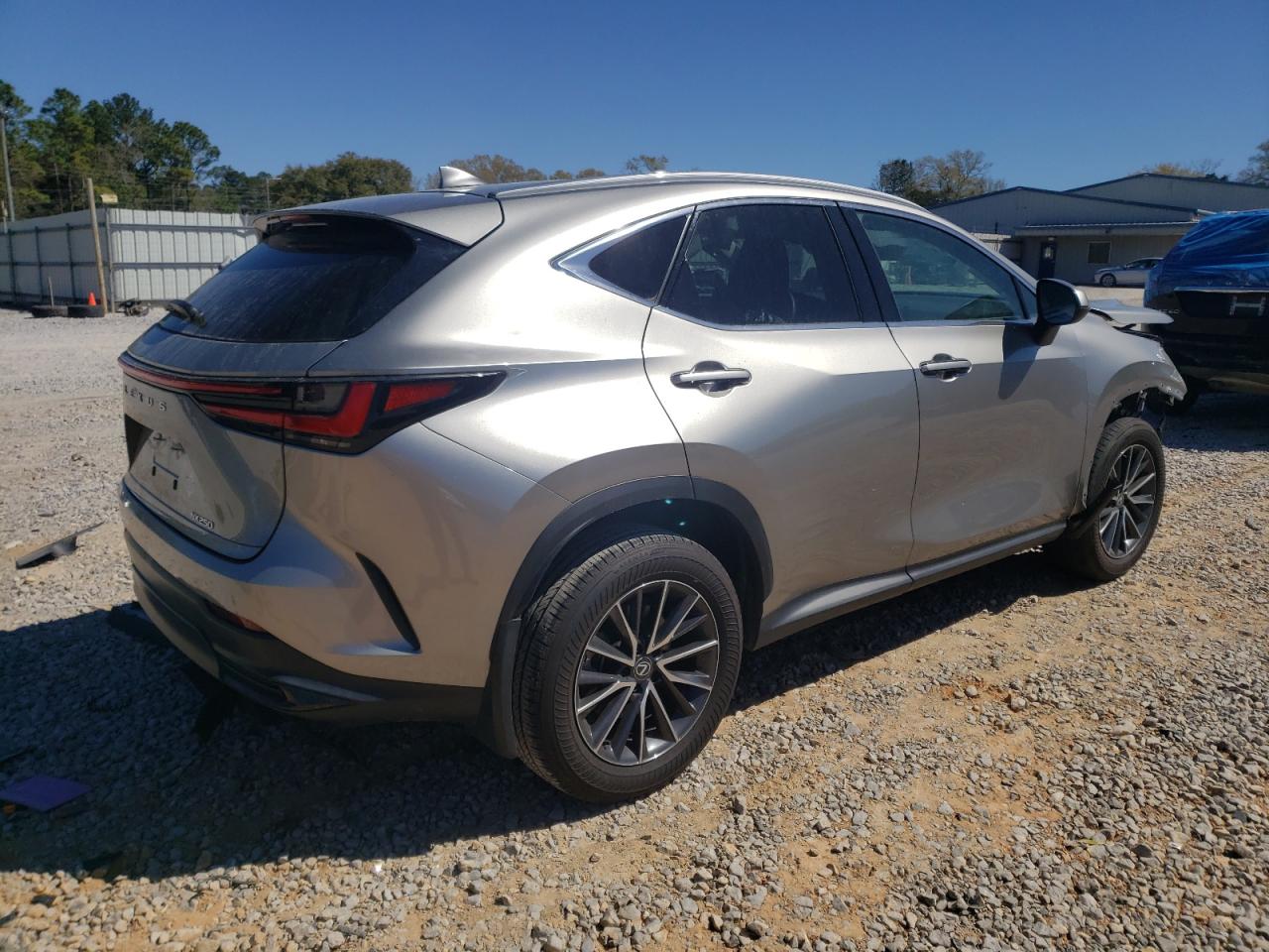 2024 LEXUS NX 250 BASE VIN:2T2ADCAZ3RC008065