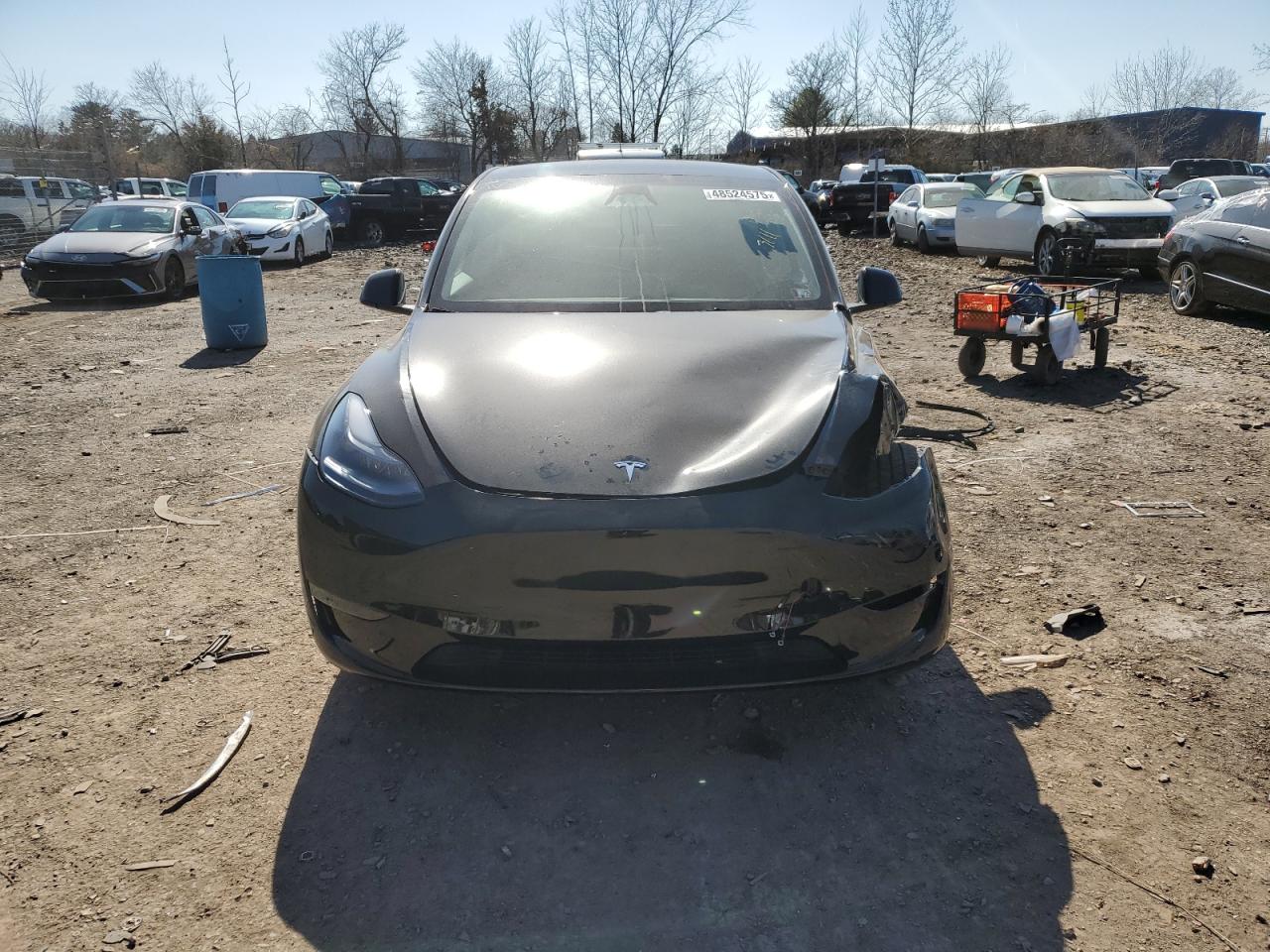 2024 TESLA MODEL Y  VIN:7SAYGDEE8RF153642