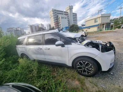 2021 Kia Carnival KNANB81BBMS069976 VIN:KNANB81BBMS069976