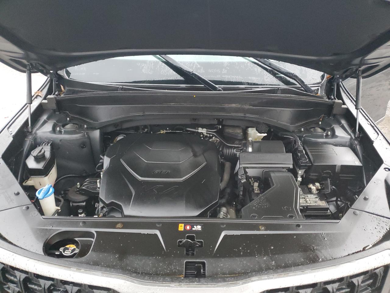 2023 KIA TELLURIDE EX VIN:5XYP3DGC9PG343391