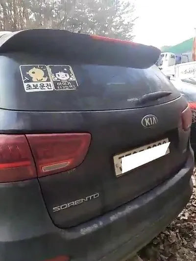 2019 Kia Sorento KNAPH81BBLA640923 VIN:KNAPH81BBLA640923