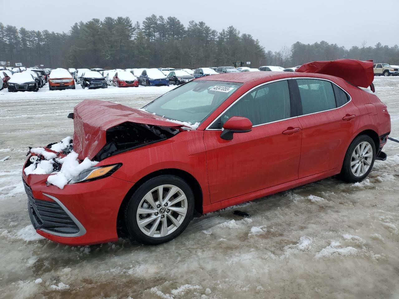 2024 TOYOTA CAMRY LE VIN:4T1C11AK1RU220507