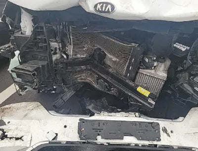 2021 Kia Carnival KNANE81BBMS117645 VIN:KNANE81BBMS117645