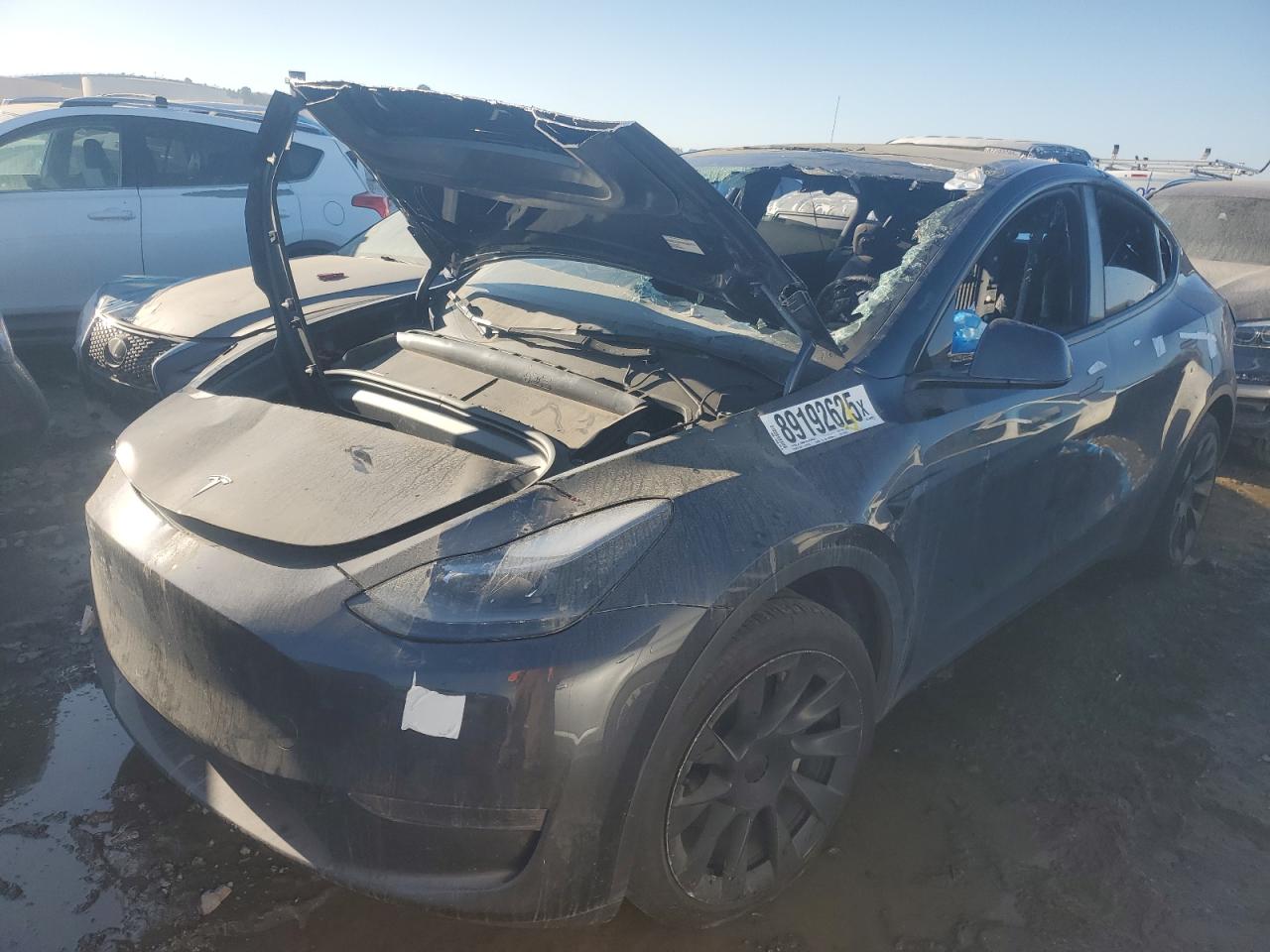 2024 TESLA MODEL Y  VIN:7SAYGDEE4RA223599
