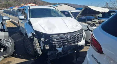 2021 Hyundai Tucson KMHJE811BMU009800 VIN:KMHJE811BMU009800