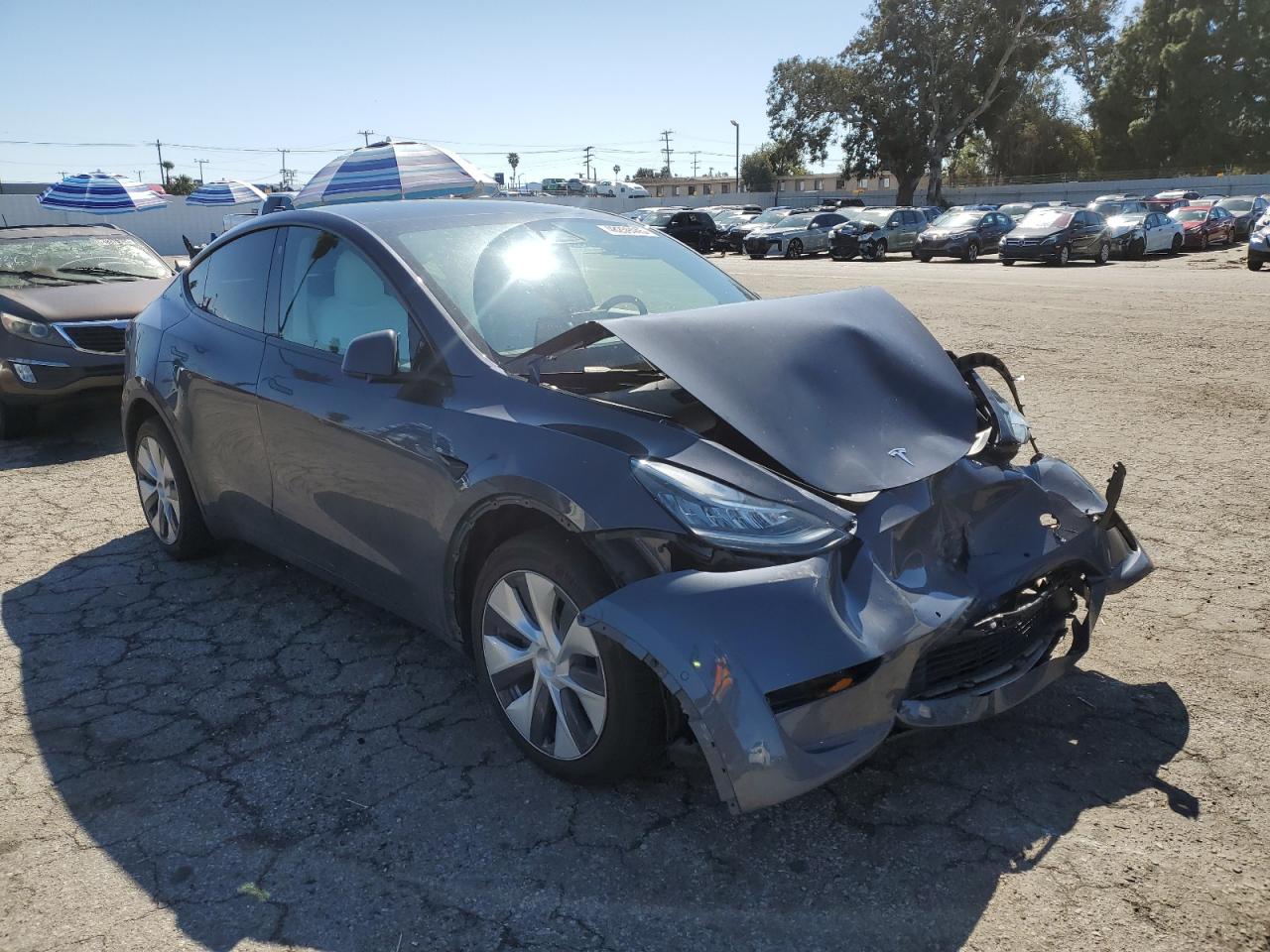 2022 TESLA MODEL Y  VIN:7SAYGDEE1NF391553
