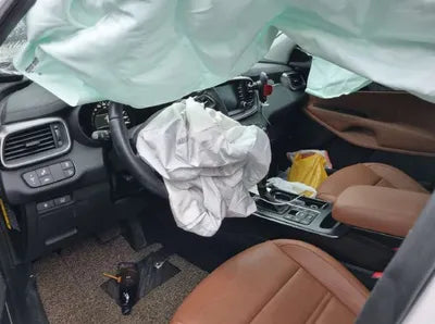 2019 Kia Sorento KNAPS81BDLA636099 VIN:KNAPS81BDLA636099