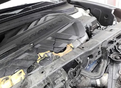 2019 Hyundai Santa FE KMHS581CBKU098716 VIN:KMHS581CBKU098716