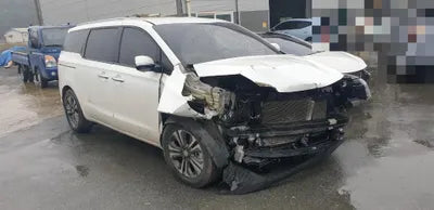 2020 Kia Carnival KNAMB81ABLS655664 VIN:KNAMB81ABLS655664