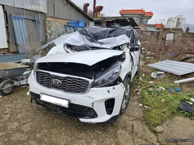 2020 Kia Sorento KNAPH81ABLA599695 VIN:KNAPH81ABLA599695