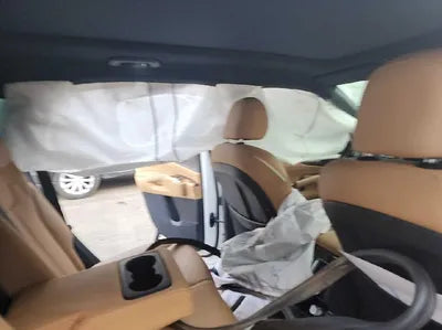 2021 Kia Sorento KNARF81FGMA070589 VIN:KNARF81FGMA070589