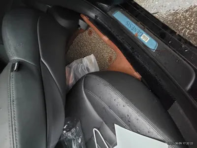 2015 acupuncture nessis 3.3 VIN: