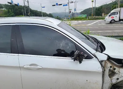 2019 BMW 630 WBAKV2104KLR94820 VIN:WBAKV2104KLR94820