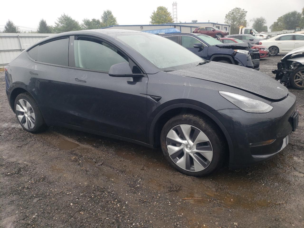 2024 TESLA MODEL Y  VIN:7SAYGDEE1RF080095