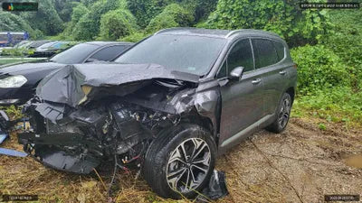 2018 Hyundai Santa FE KMHS281BBKU027521 VIN:KMHS281BBKU027521