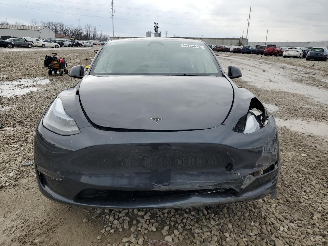 2024 TESLA MODEL Y  VIN:7SAYGDEEXRF988853