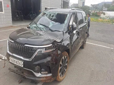 2020 Kia Carnival KNANB81BBMS012818 VIN:KNANB81BBMS012818