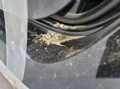 2015 Volkswagen CC WVWZZZ3CZFE821285 VIN:WVWZZZ3CZFE821285