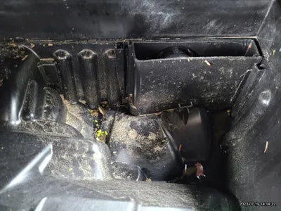 2022 BMW 120 WBA11DG06N5V40412 VIN:WBA11DG06N5V40412