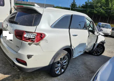 2019 Kia Sorento KNAPS81BBKA528263 VIN:KNAPS81BBKA528263