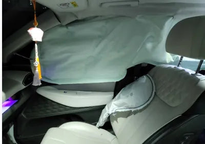 2021 Hyundai Santa FE KMHS581HGMU319867 VIN:KMHS581HGMU319867