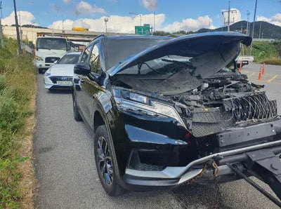 2022 Kia Carnival KNANB81BBNS131772 VIN:KNANB81BBNS131772