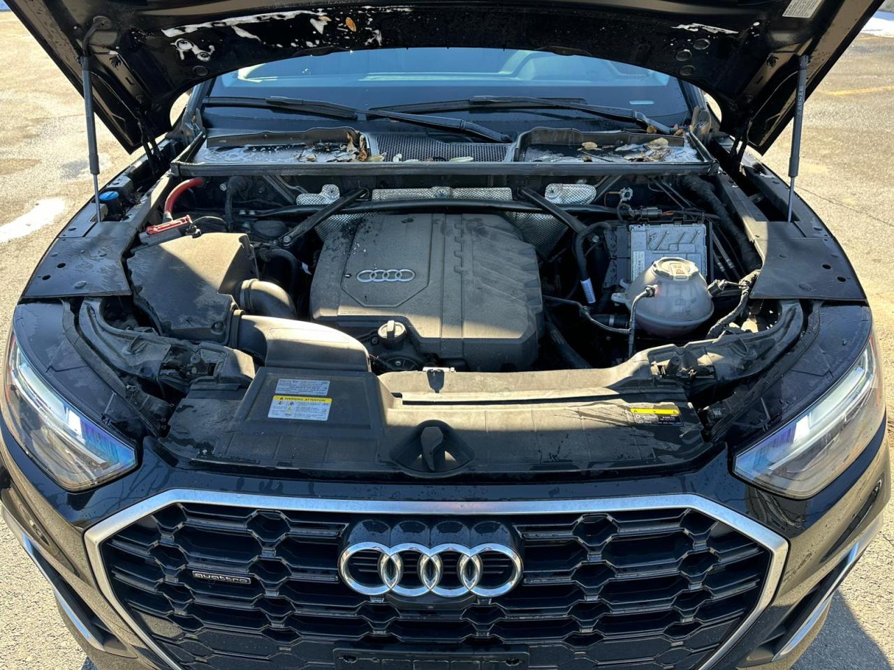 2023 AUDI Q5 PREMIUM PLUS 45 VIN:WA1EAAFY3P2125251