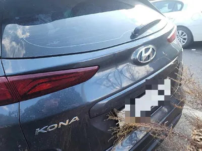 2019 Hyundai Kona VIN:
