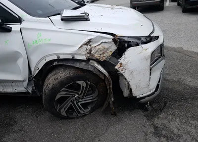 2021 Hyundai Santa FE KMHS281LGMU385620 VIN:KMHS281LGMU385620