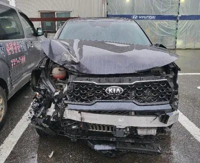 2021 Kia Sorento KNARF81BGMA060485 VIN:KNARF81BGMA060485
