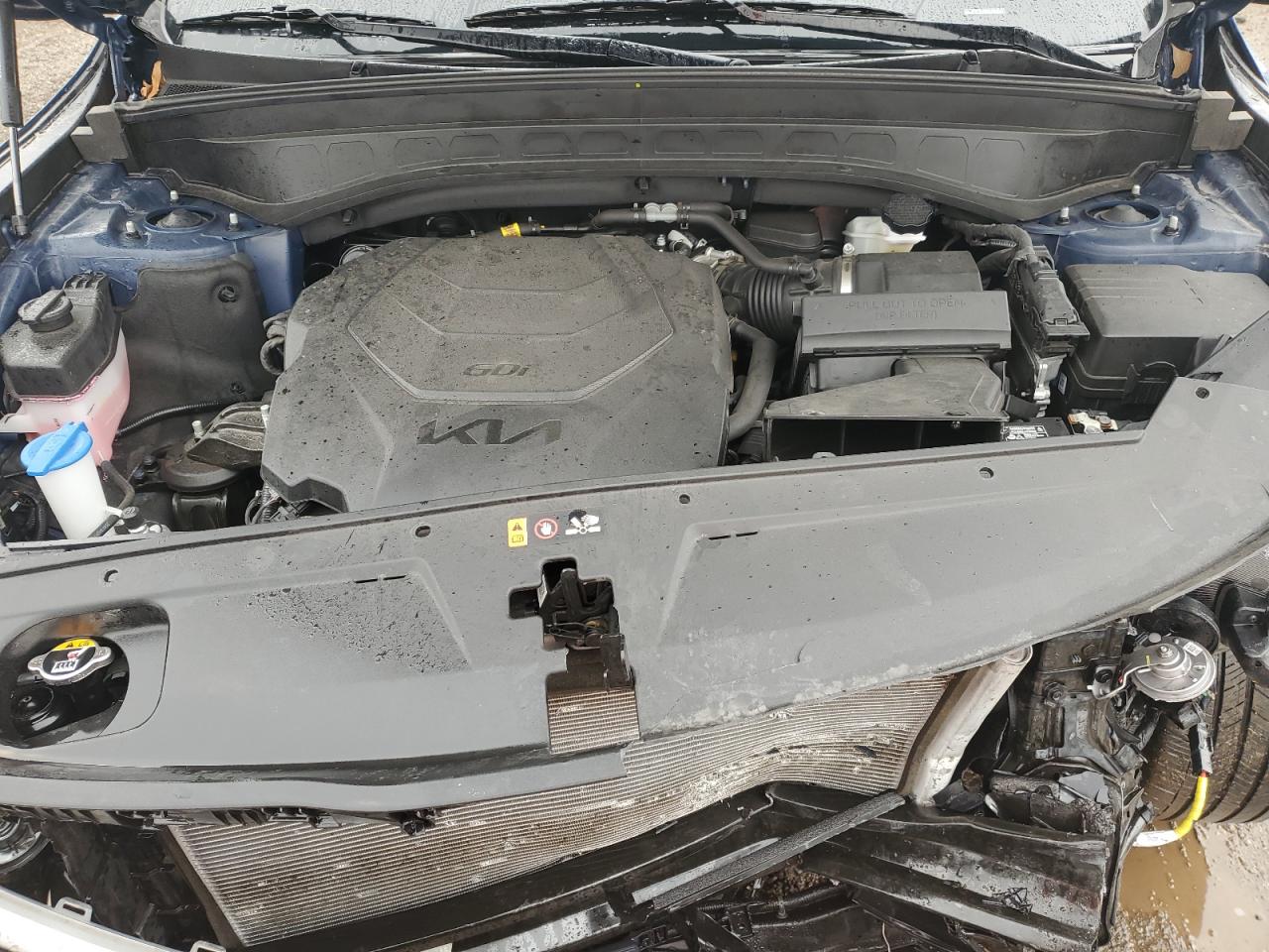 2023 KIA TELLURIDE EX VIN:5XYP3DGC7PG404463