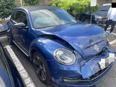 2014 Volkswagen Beetle VIN: