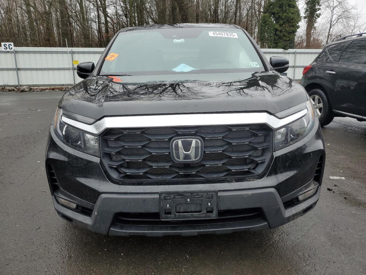2023 HONDA PASSPORT EXL VIN:5FNYF8H55PB003049