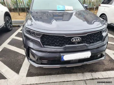 2021 Kia Sorento KNARK81GBMA012344 VIN:KNARK81GBMA012344
