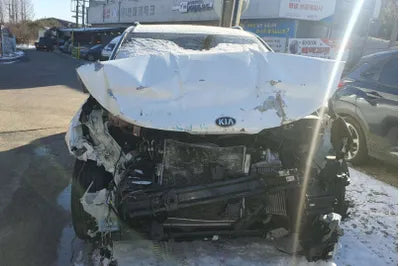 2021 Kia Carnival KNANB81BBMS037266 VIN:KNANB81BBMS037266