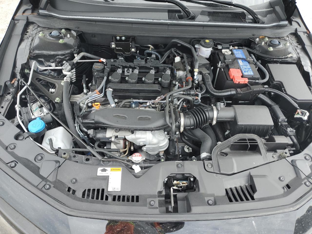 2023 HONDA ACCORD LX VIN:1HGCY1F26PA054221