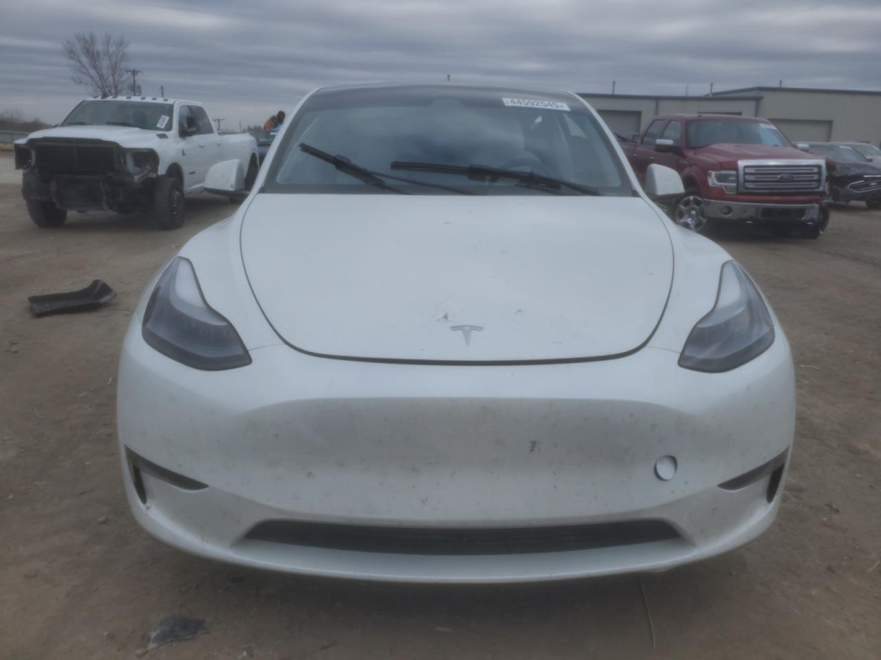 2023 TESLA MODEL Y  VIN:7SAYGDEF0PF791552