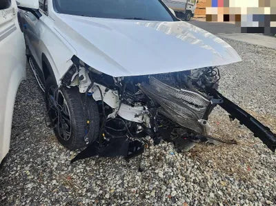 2019 Hyundai Santa FE VIN: