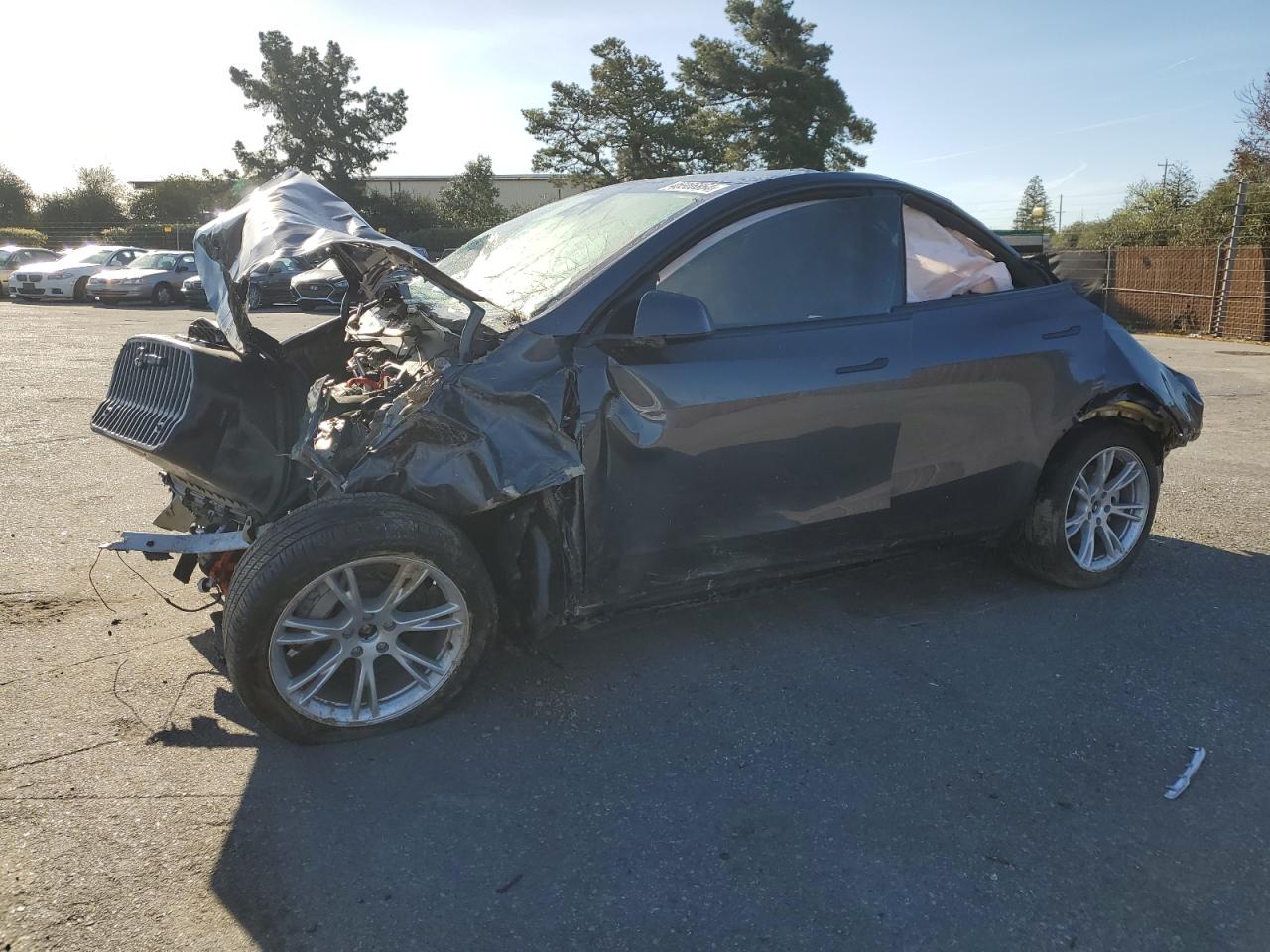 2023 TESLA MODEL Y  VIN:7SAYGDEE2PA170155