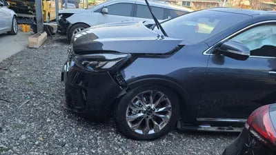 2019 Kia Sorento KNAPS81ABLA591712 VIN:KNAPS81ABLA591712