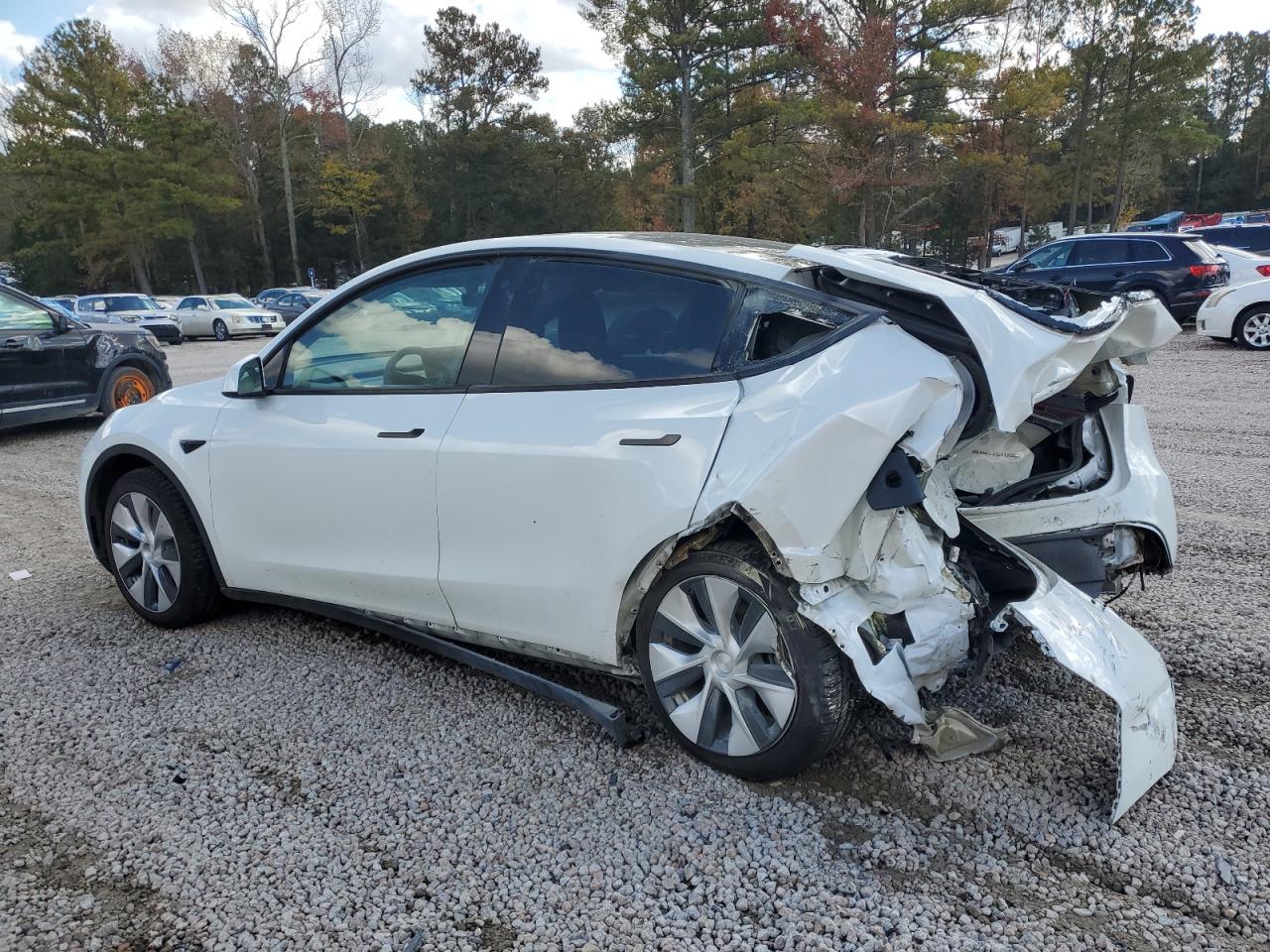 2022 TESLA MODEL Y  VIN:7SAYGDEE2NF372414