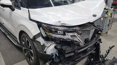 2021 Kia Carnival KNANC81BBMS037923 VIN:KNANC81BBMS037923