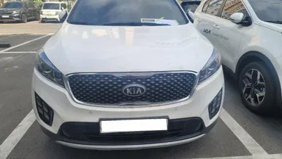 2017 Kia Sorento KNAPH81ABHA318058 VIN:KNAPH81ABHA318058