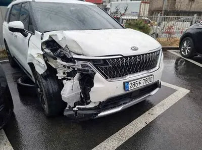 2021 Kia Carnival KNANE81BBMS024429 VIN:KNANE81BBMS024429