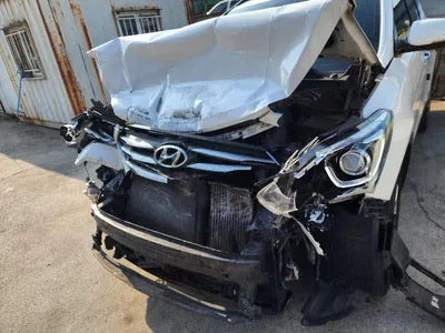 2016 Hyundai Santa FE KMHSW81UBGU700005 VIN:KMHSW81UBGU700005